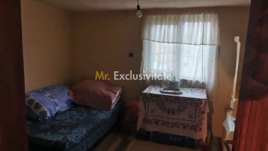 De vanzare casa in Argetoaia cu teren 7.000 mp - Poză 9