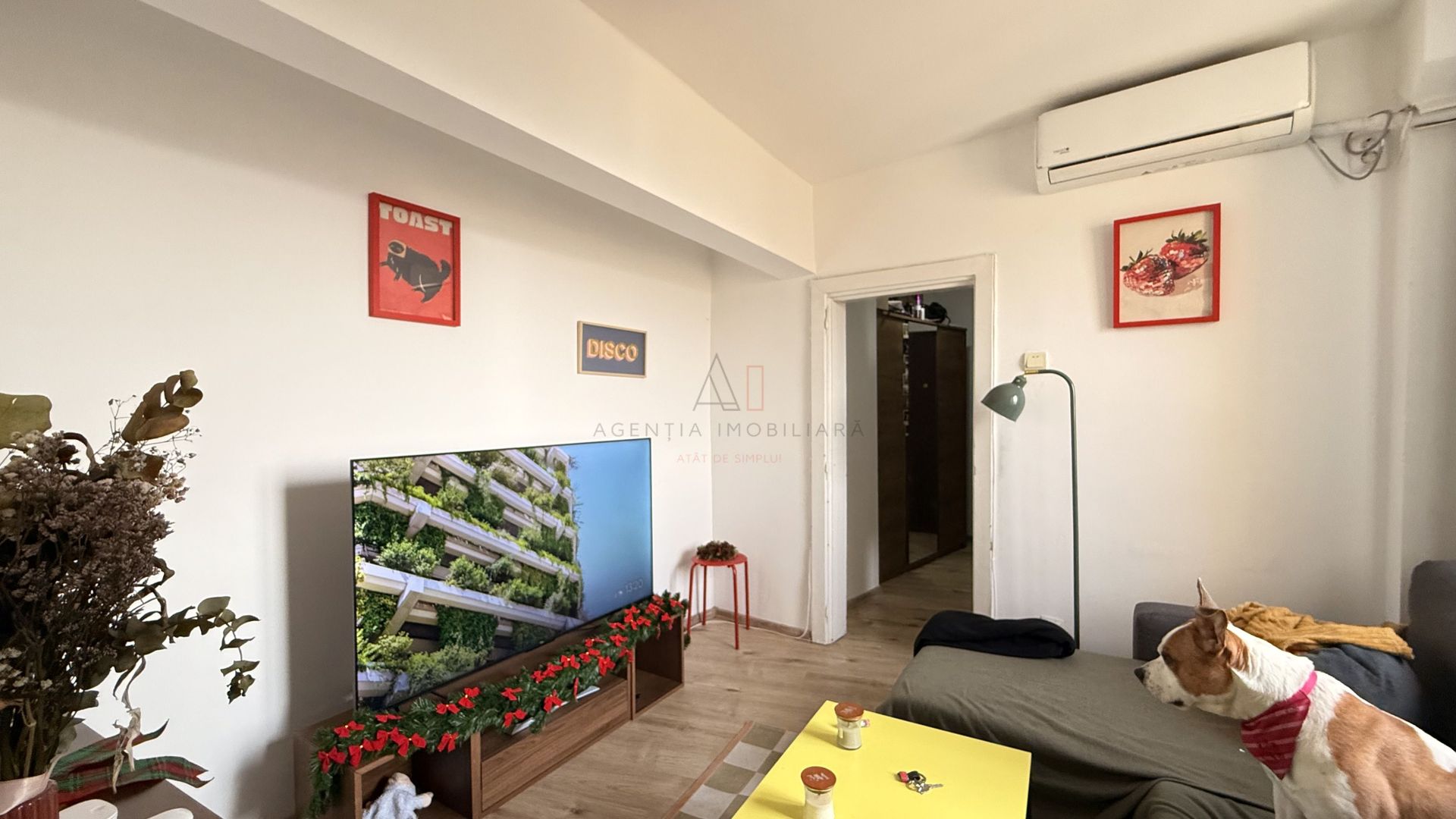 Studio Dublu Cismigiu | FARA RISC - Poză 2