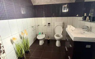 CASĂ COMPLET MOBILATĂ ȘI UTILATĂ | 190 MP | TEREN 1.289 MP în URISOR - Poză 11
