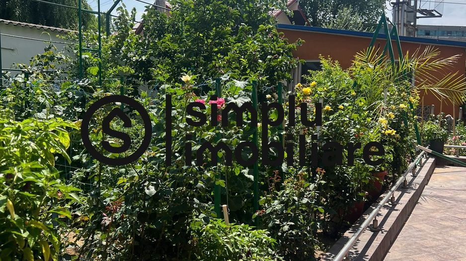 Vila S+P+1+M Lapus, str Paunitei - Poză 32