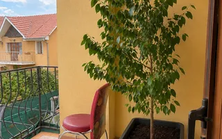 Apartament cu 2 camere de vânzare | Nojorid | Bihor - Poză 13