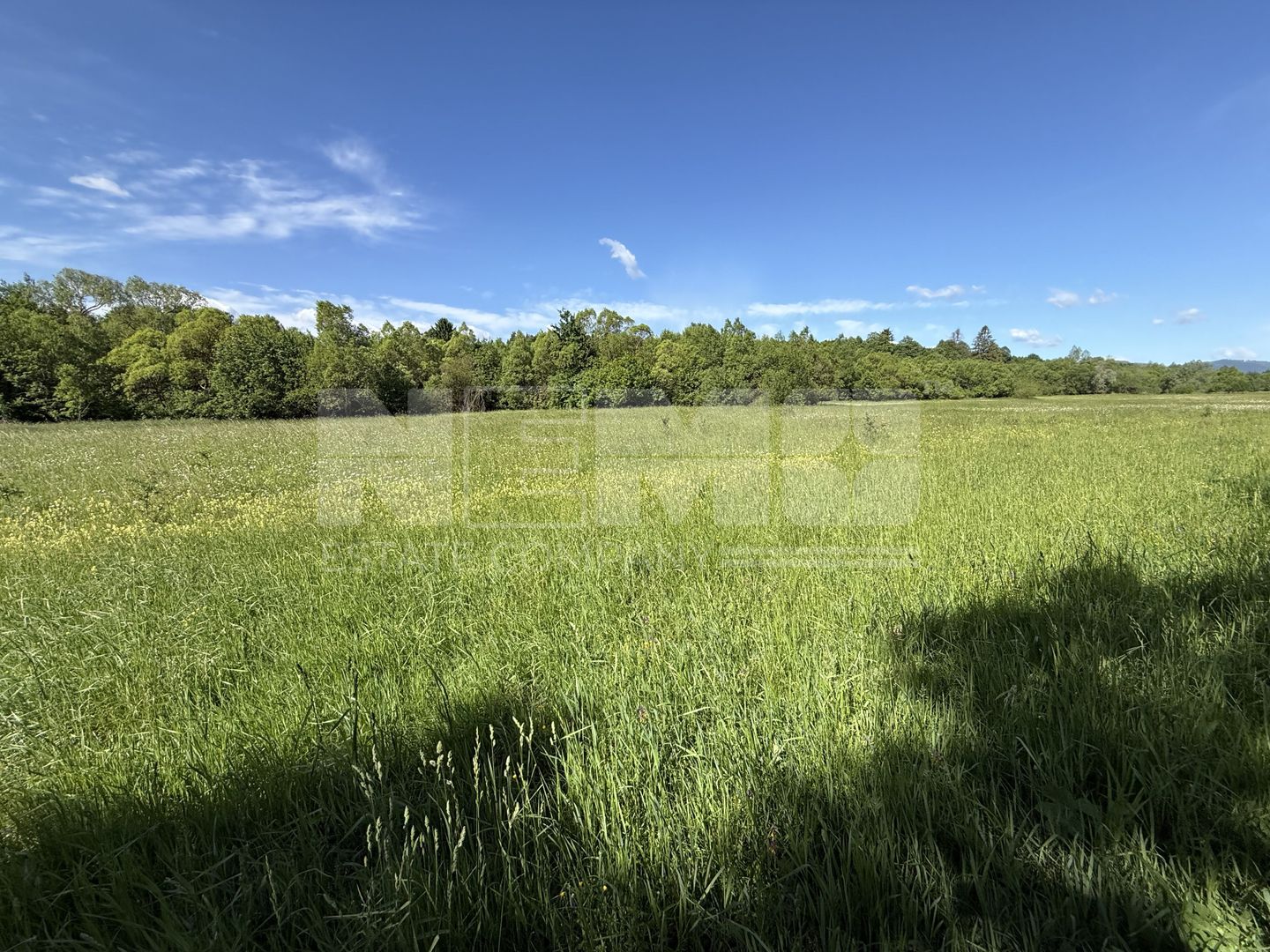 Teren de vânzare | Hardic | 2.300 mp - Poză 5