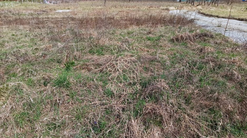 Teren intravilan 500 mp-ideal casa-Zona Dr. Tarpiului - Poză 1