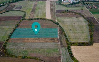 Teren agricol de 34.500mp în Albina, Județul Timiș - Poză 1