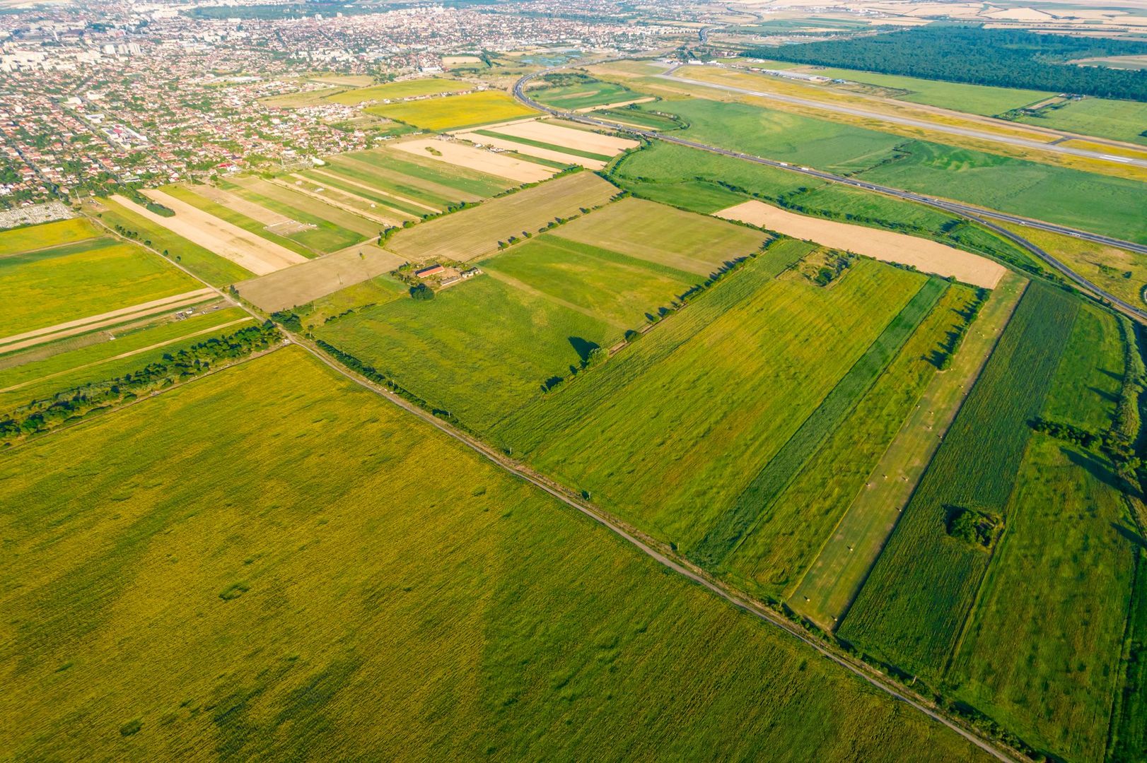 50 ha teren compact în Bujac - Poză 4