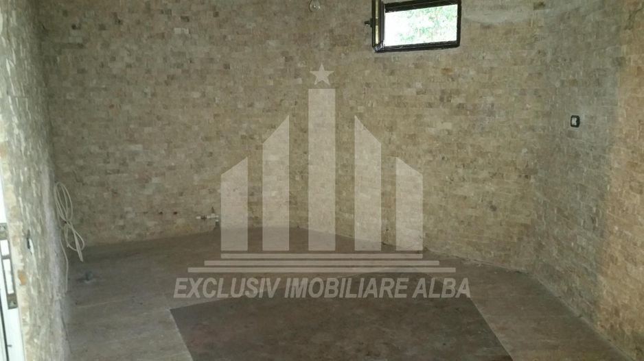 Casa individuala | Crama | 400 mp | 550 mp teren | Asfalt | Cetate - Poză 4