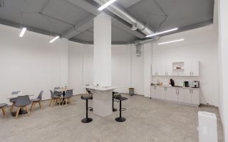 Chirie, spațiu comercial, 440 mp, bd. Decebal, Botanica - Poză 19