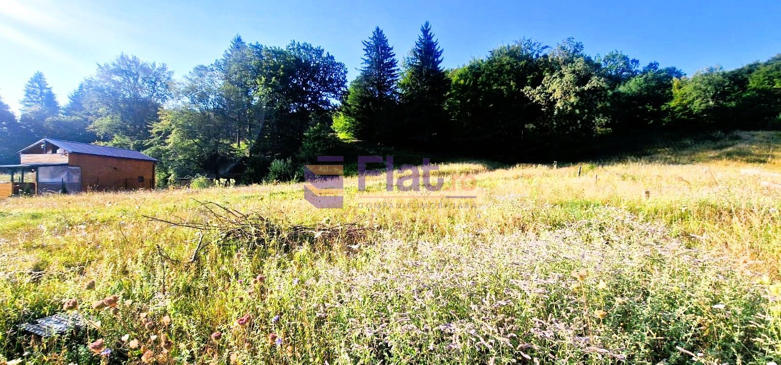 Teren intravilan de vânzare în Hărman, Brașov cu utilitati - Poză 2