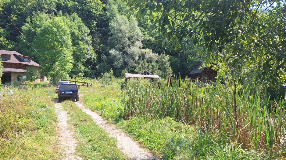 VANZARE ANSAMBLU CASUTE BRADULET ARGES - Poză 23