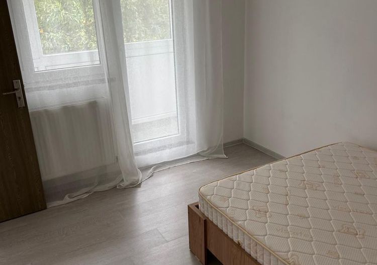 Iosefin | 2 Camere | Etaj Inermediar | Recent Renovat. - Poză 4