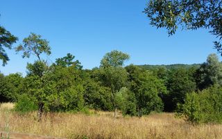 TEREN INTRAVILAN ZĂVOI\ZONA VALEA BISTREI, JUD.C-S - Poză 1