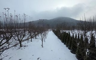 CASĂ MODERNĂ | VĂLENI-STĂNIȘOARA | 355.000 € - Poză 25