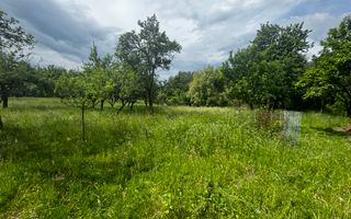 TEREN INTRAVILAN 4600 MP, VOINESTI, LERESTI, ARGEȘ - Poză 17