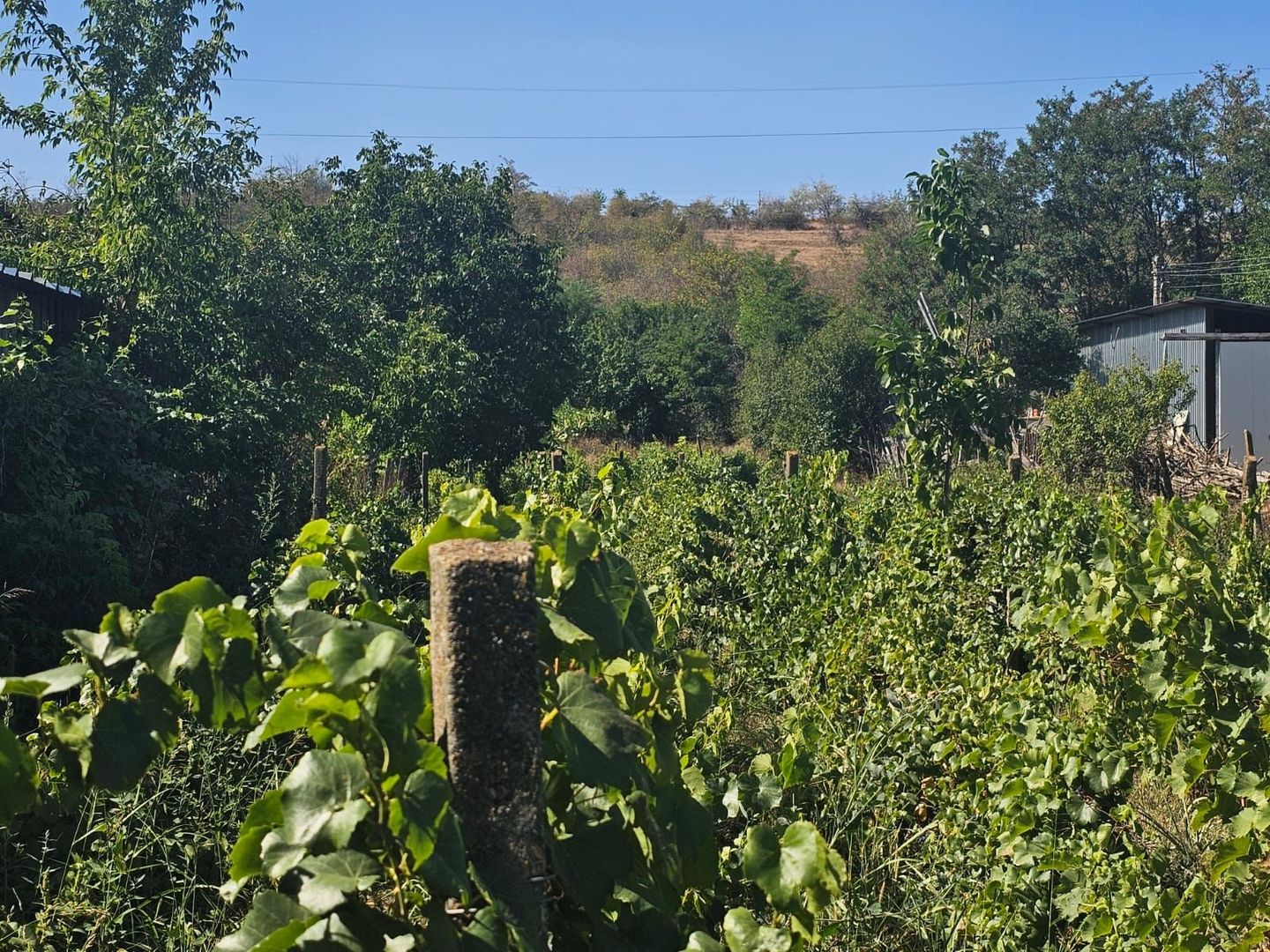 Teren intravilan 1800 mp  - Fartanesti/Galati, COMISION 0 % - Poză 6