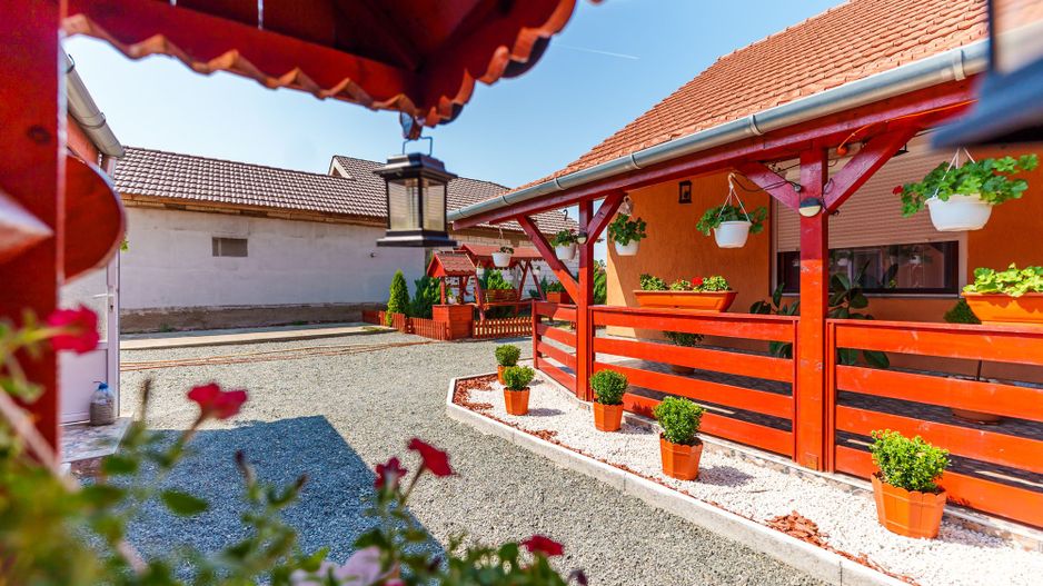 Casă spațioasă la sol în Macea - Poză 8