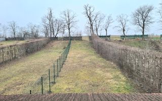 Duplex Zona Linistita Carpinis - Poză 2