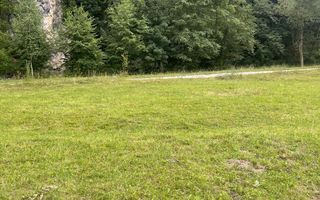 Teren pentru investiție turistică în Dâmbovicioara – Baranga | 4.500 mp | Front ~102 ml - Poză 8