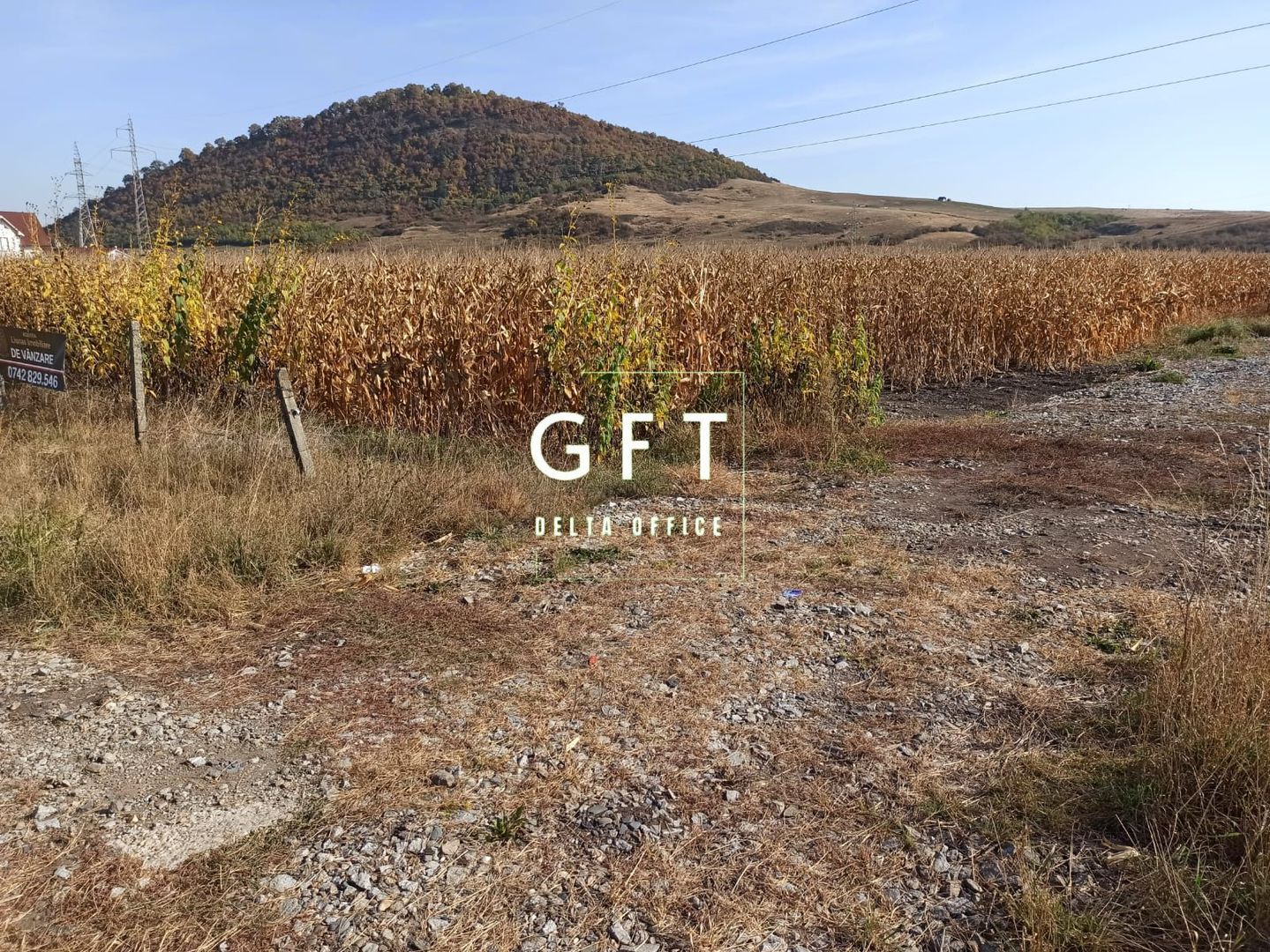 Teren intravilan 1000  mp ideal investitie Sarata - Poză 3