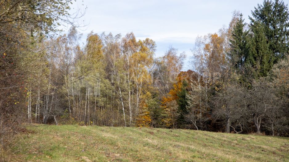 Teren intravilan, cu PUZ, Bran Tohanita,  SE ACCEPTĂ ȘI SCHIMB - Poză 6