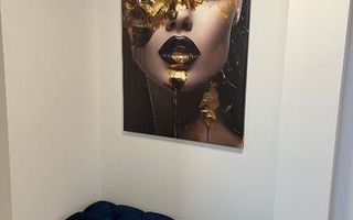 Vanzare Apartament de lux 2 Camere Adiacent Decebal - Poză 7