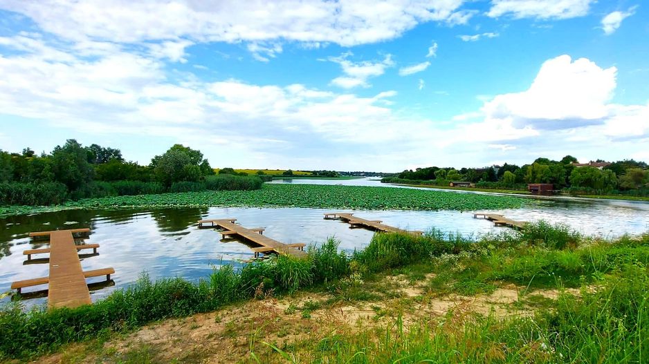 Casa de inchiriat in complex Green Future Snagov | Acces la lac Snagov - Poză 2