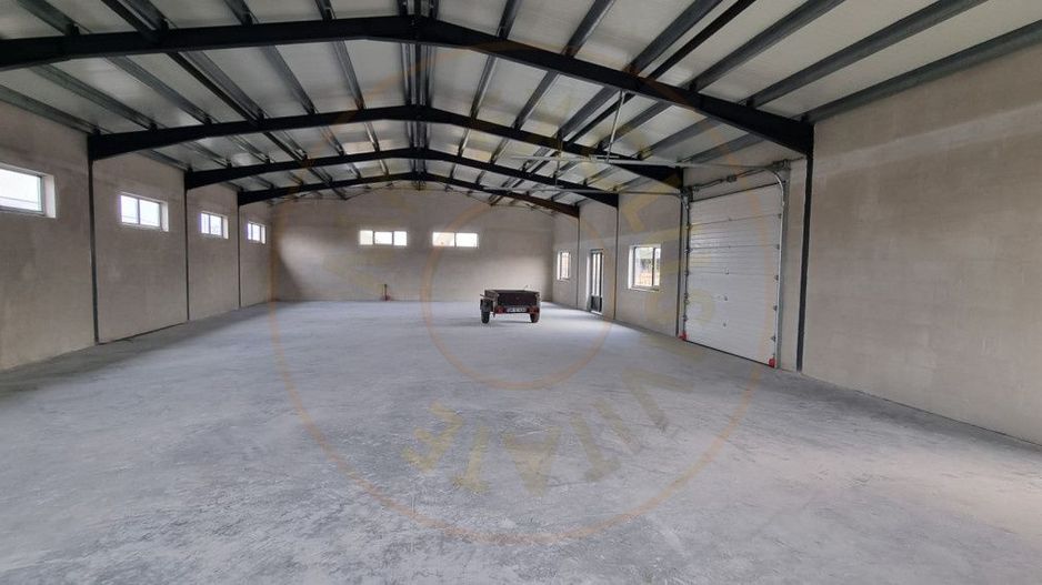 Inchiriere Hală Producție/Depozitare 300 mp, Teren 1791 mp - Carei - Poză 6