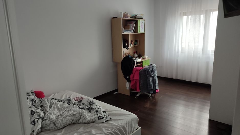 Sanandrei, Spurafete generoase, drum asflatat - Poză 7