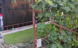 Casă cu etaj, zonă semicentrală, Iași – 5 camere, teren 300 mp - Poză 3