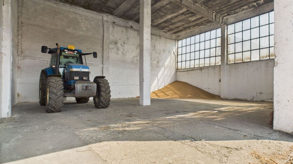 Complex industrial cu hale și teren  în Orțișoara - Poză 19