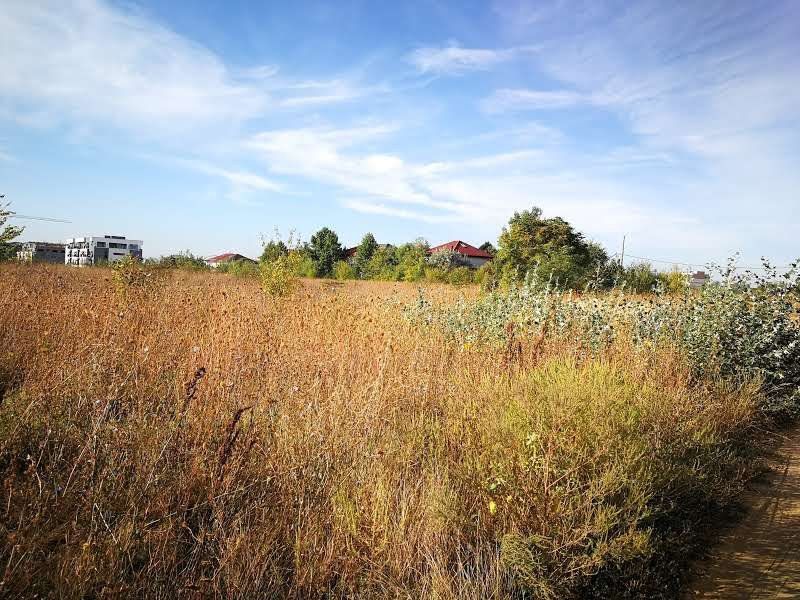 Teren ideal constructii Sisesti-langa Aletheea - Poză 3