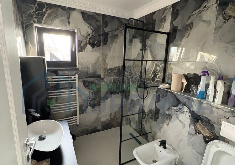 De vânzare casa in LUNCA CETATUII - Poză 7