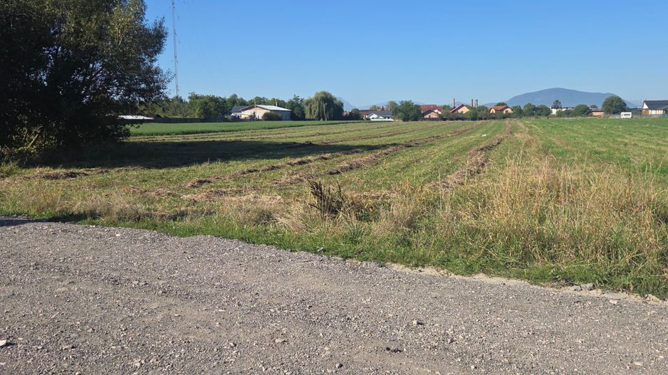 Teren Bod Colonie,strada Lalelelor - Poză 5