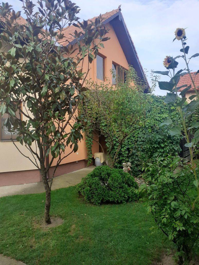 BRASADAS vinde casa cu 6 camere si teren 1200mp în Amati. - Poză 3
