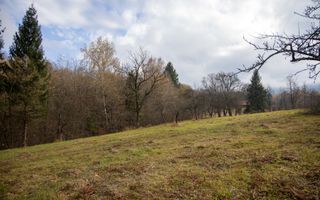 Teren intravilan, cu PUZ, Bran Tohanita,  SE ACCEPTĂ ȘI SCHIMB - Poză 18