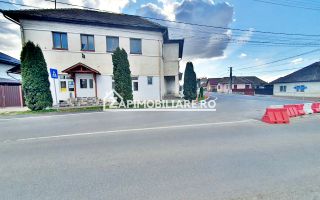 Spatiu Comercial  11 camere,370 mp utili,960 mp teren - Poză 11