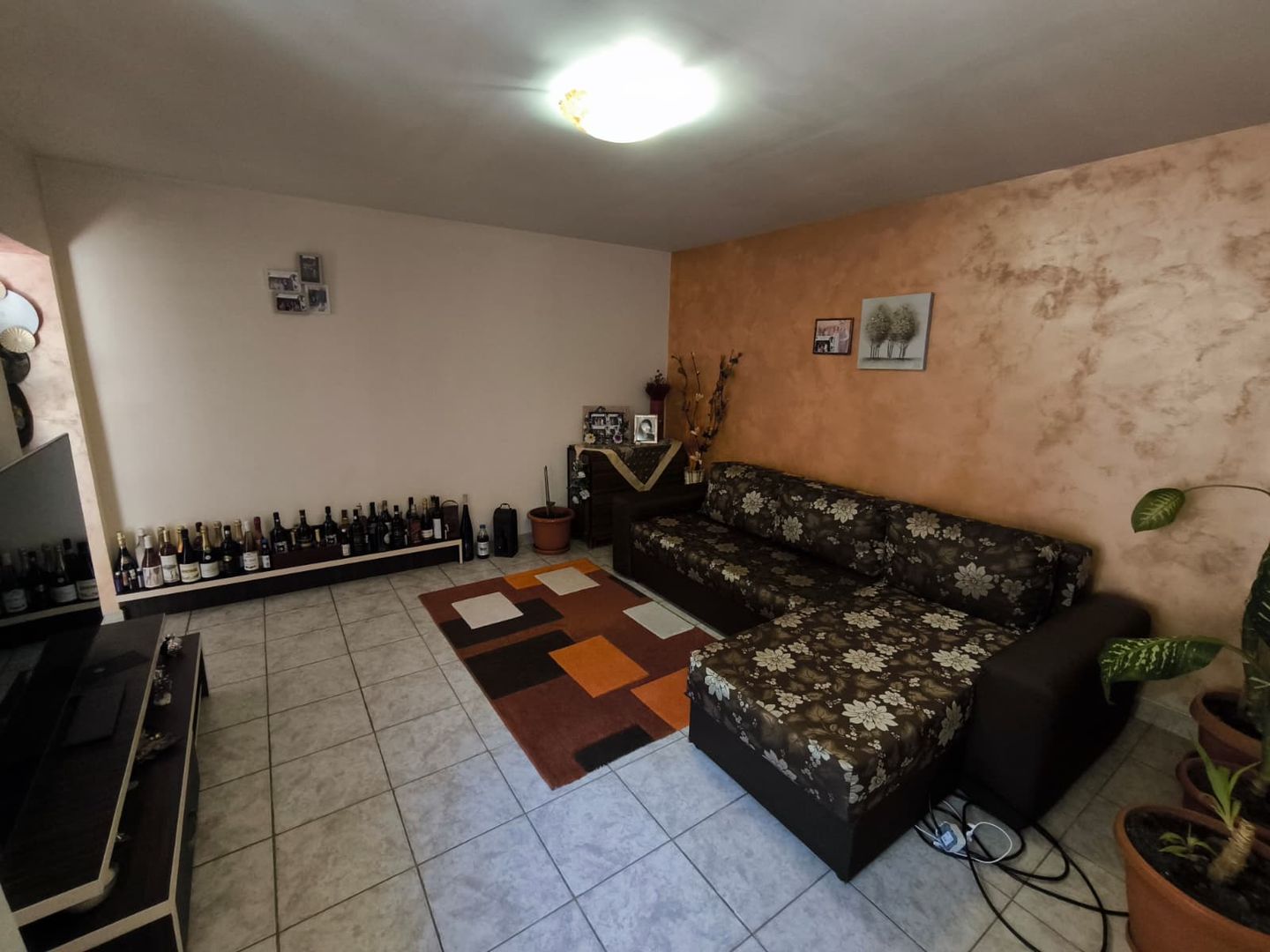 VIILE NOI - casa cu o curte generoasa disponibila imediat - Poză 1
