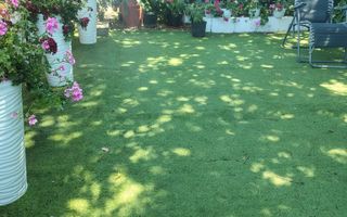 Casa 3 camere Sacuieni zona Garii - Poză 6