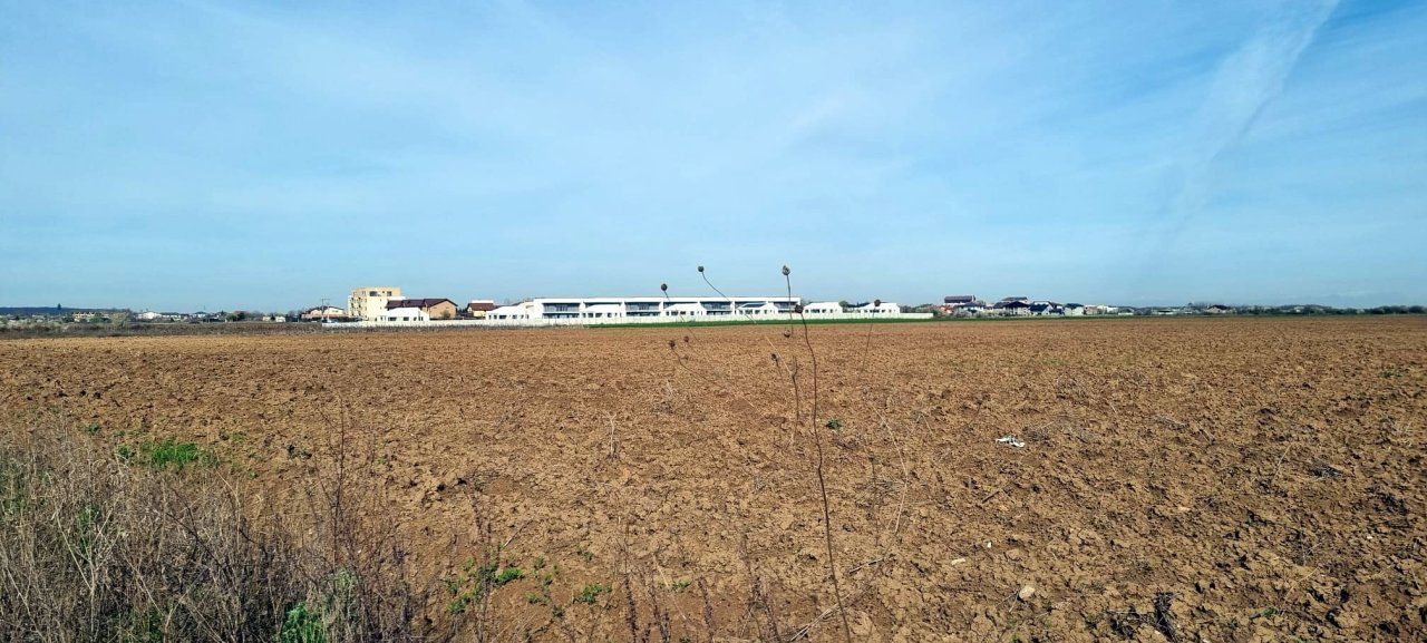 „Corbeanca – aer curat, potențial mare, preț competitiv. 4 loturi - Poză 3