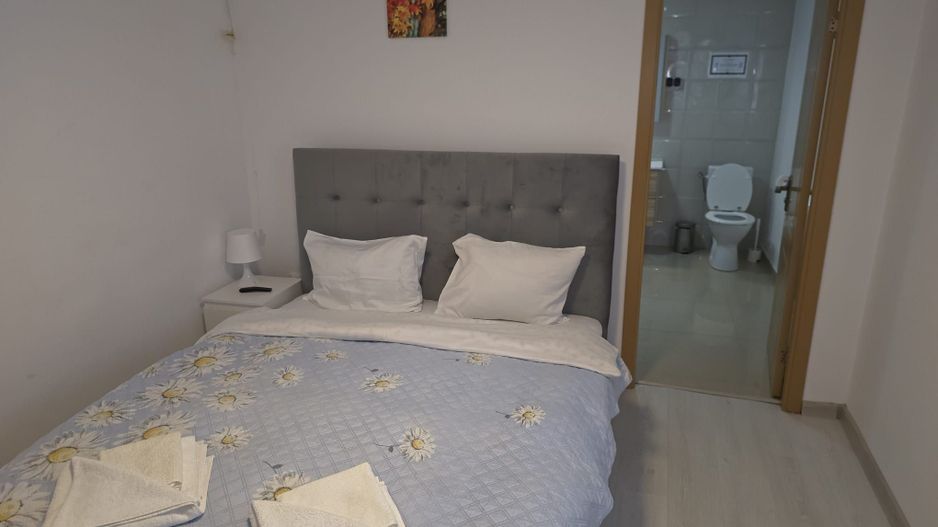 Pensiune la Cheia, moderna, functionala in totalitate, vedere mirifica (chirie) - Poză 8