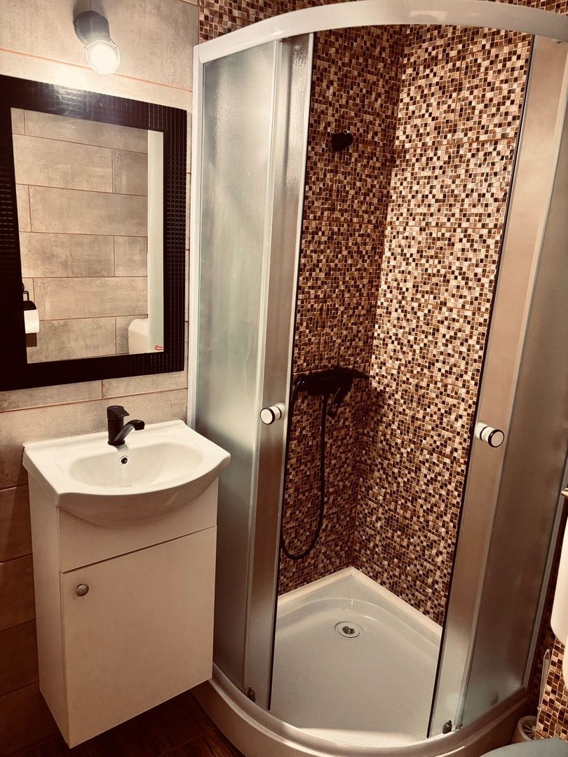 Calea Buziasului | 1 Camera | Recent renovat | Disponibil imediat - Poză 8