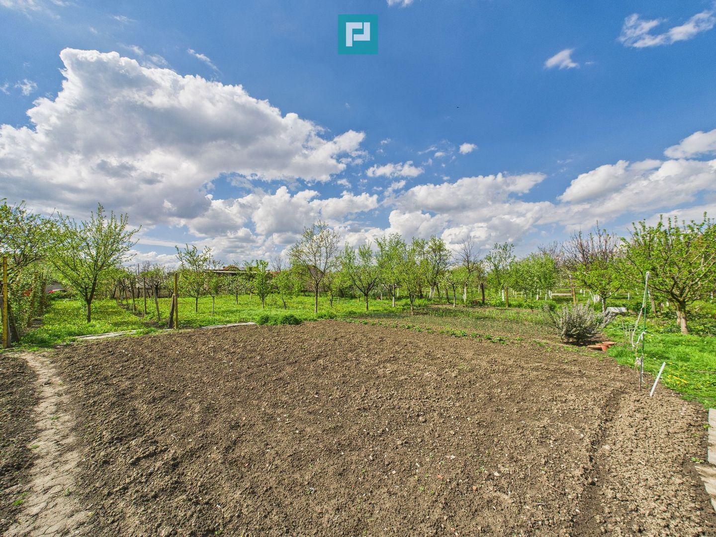 Casă individuală la Beregsău Mare, 2890 mp teren - Poză 31