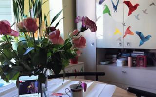 Apartament 1 camera zona Freidorf cu centrala - Poză 1