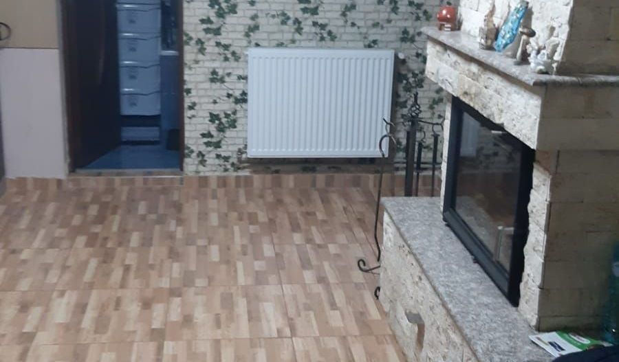 Ag EUROPA vinde casa individuala in COROD cu 2 camere și teren 22 ari. - Poză 7