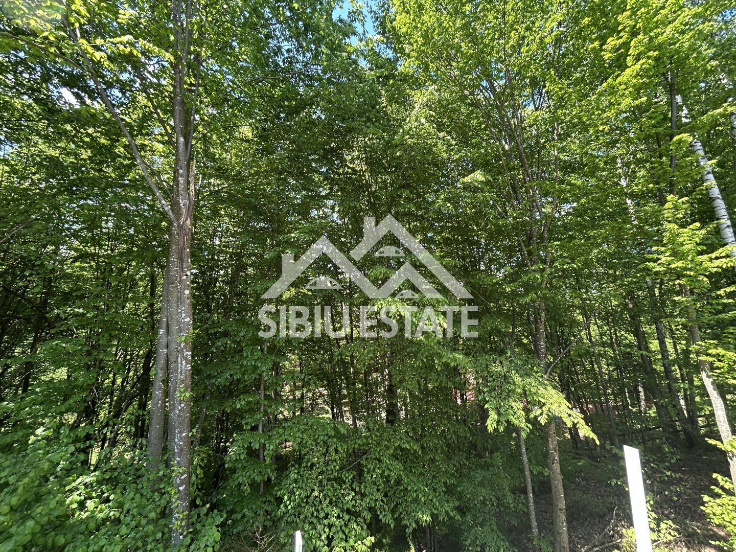 Cabană Premium în Porumbacu de Sus, Oportunitate Investiție / AirBnb - Poză 3