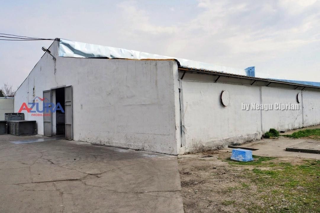 COMISION 0% - HALE Calinesti Arges - Poză 46