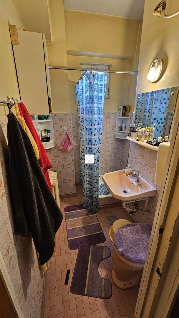 Apartament Vasile Lascar - Poză 32
