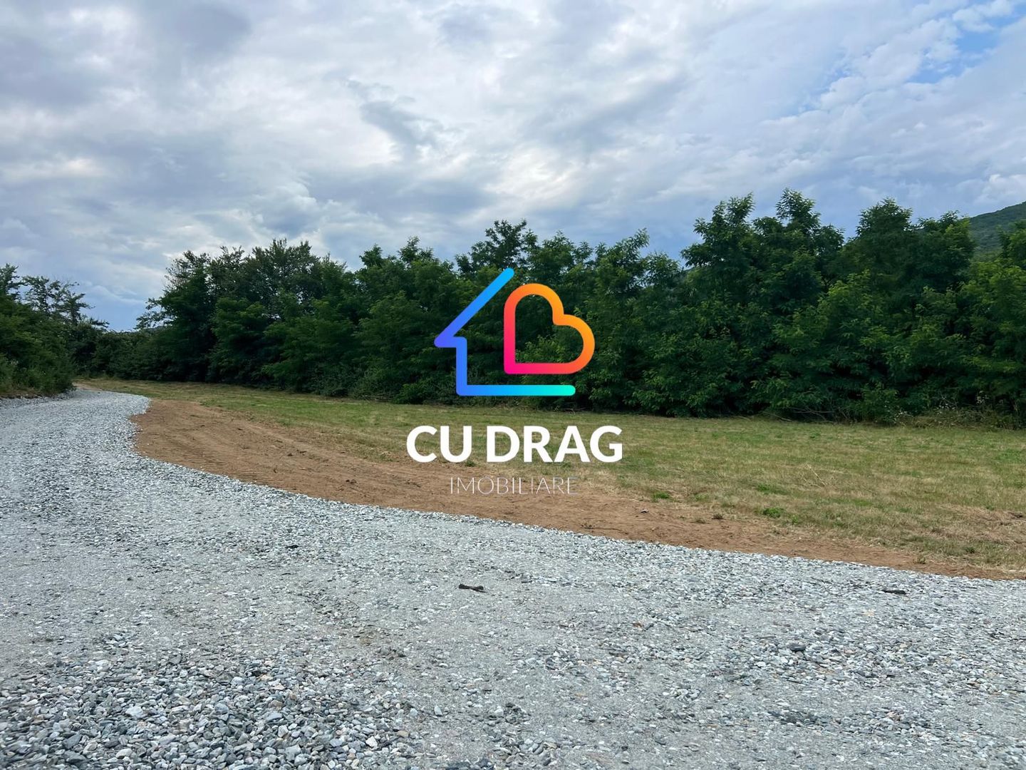 Teren de investitie Talmaciu - Poză 4