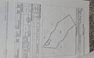 Teren intravilan 15.000 mp+casa 150mpTargu Mures,45 euro mp. - Poză 7
