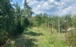 La cateva minute de oras! Vanzare teren intravilan in Viforata - Poză 4