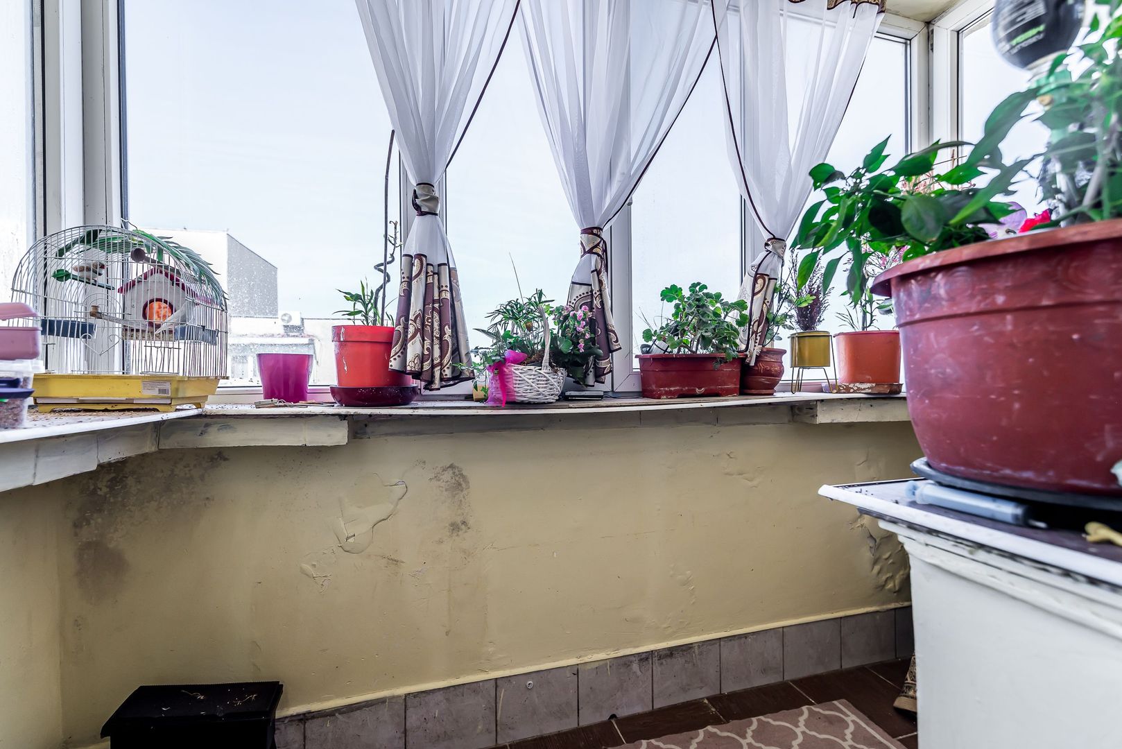 Apartament cu 5 camere pe Splaiul General Gheorghe Magheru, Micălaca - Poză 21
